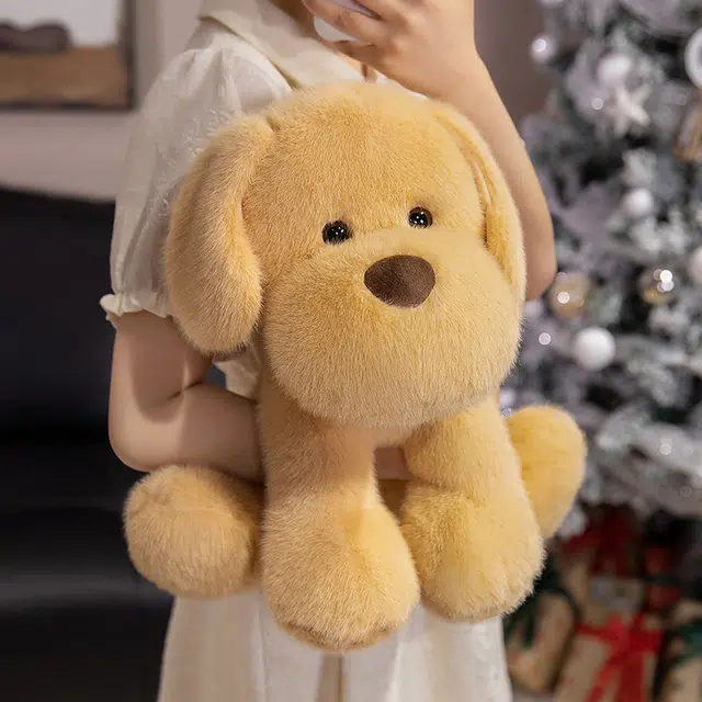 25cm35cm