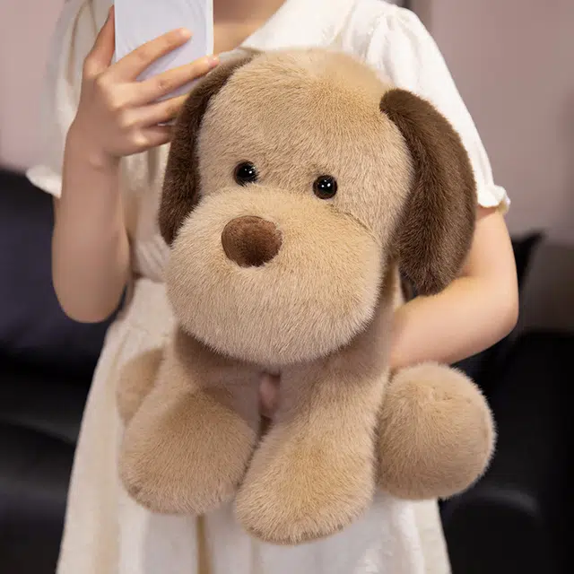 25cm35cm