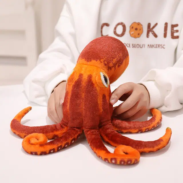 3D 30cm55cm