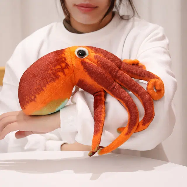 3D 30cm55cm