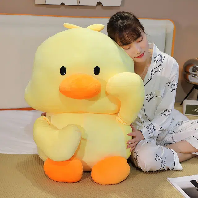 50cm80cm100cm