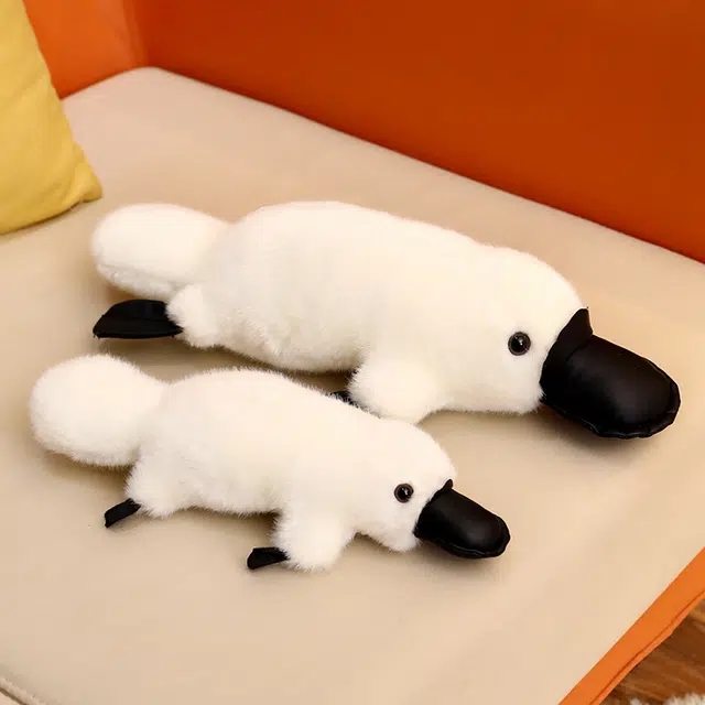 35cm45cm