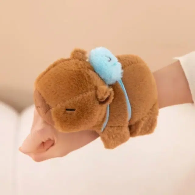 20cm