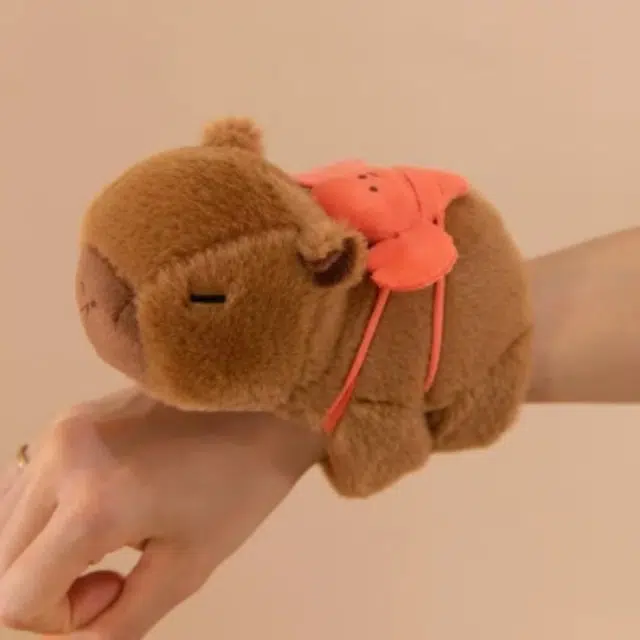20cm