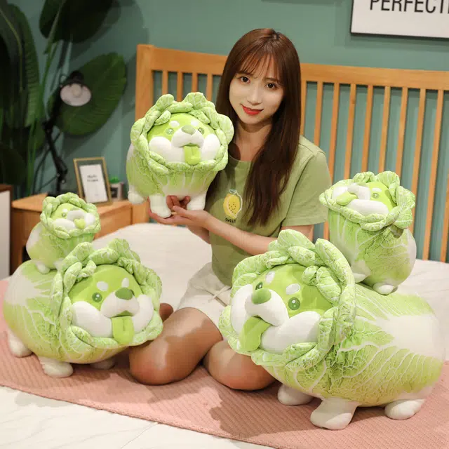 30cm40m50cm60cm