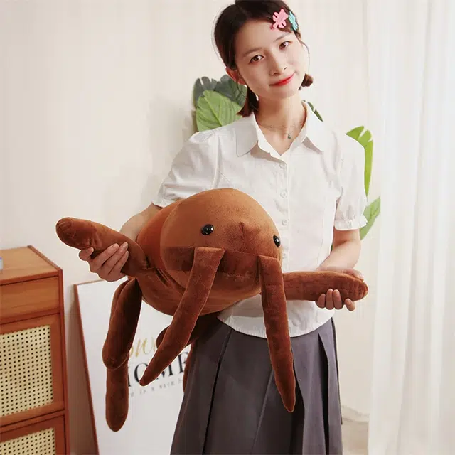40cm60cm80cm