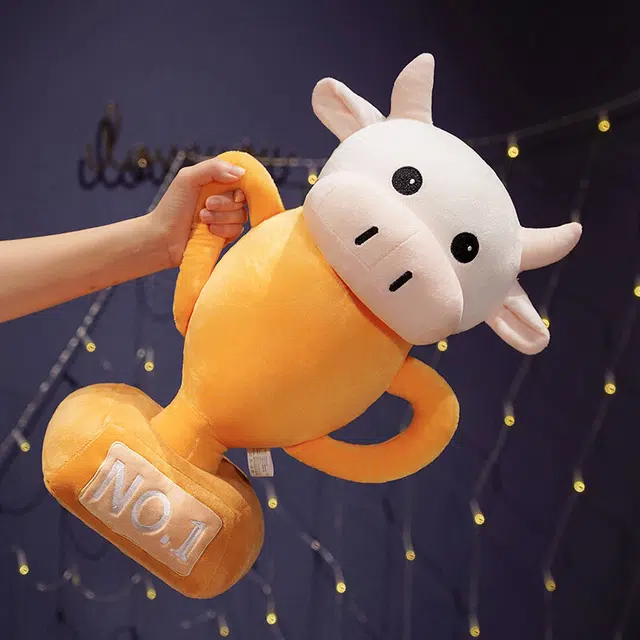 40cm