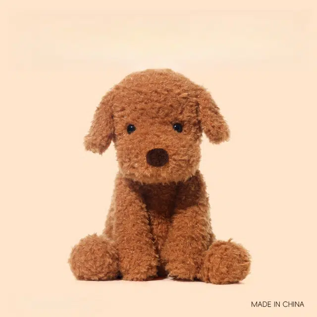 25cm