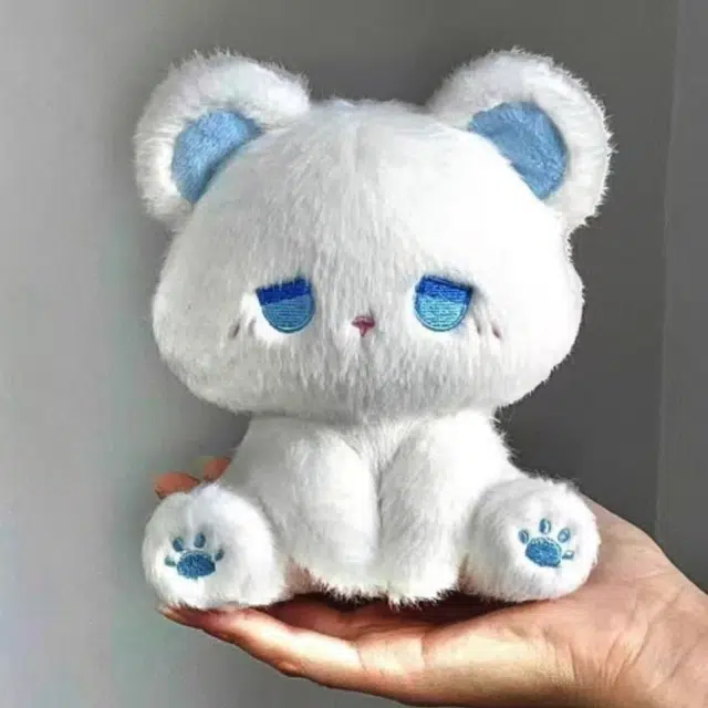 15.5cm22cm