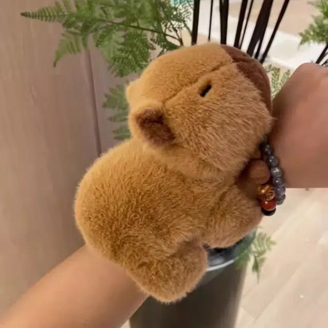 20cm