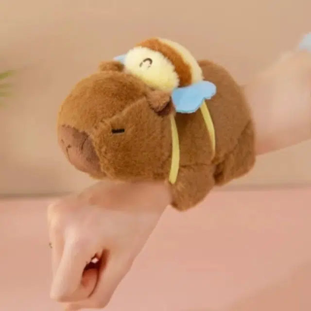 20cm