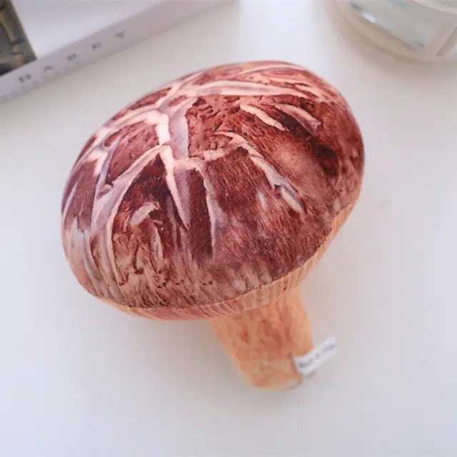 20cm