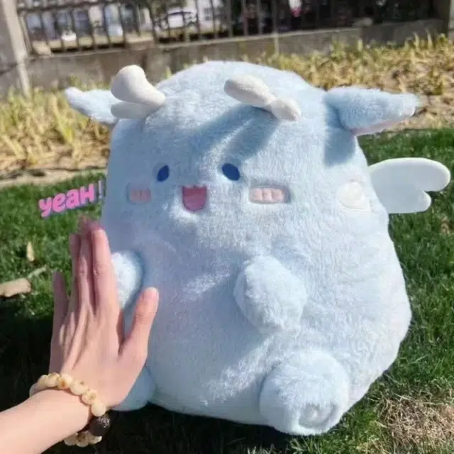 30cm40cm60cm