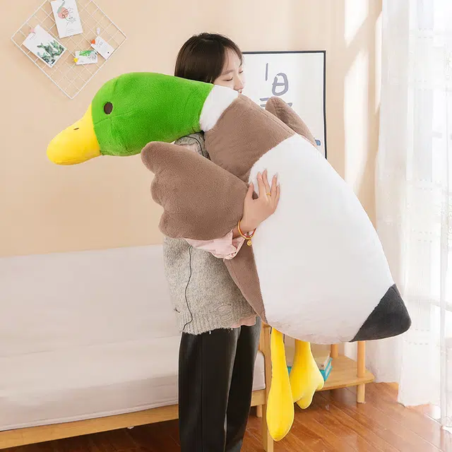 75cm100cm120cm160cm