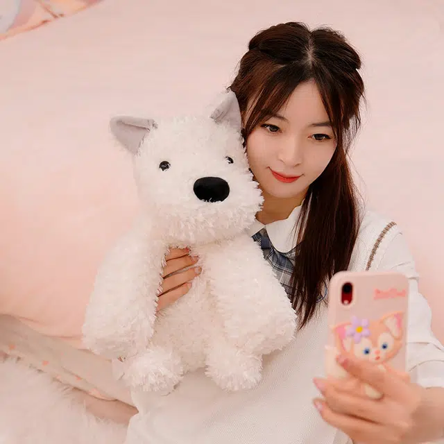 22cm30cm40cm