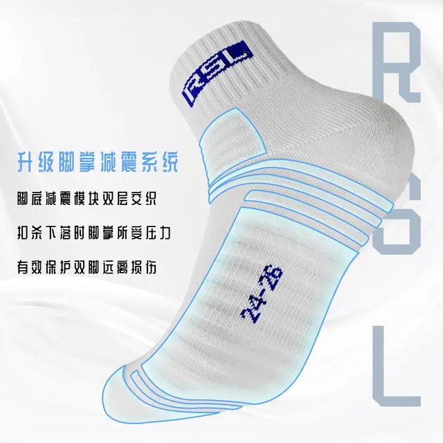 RSL 3