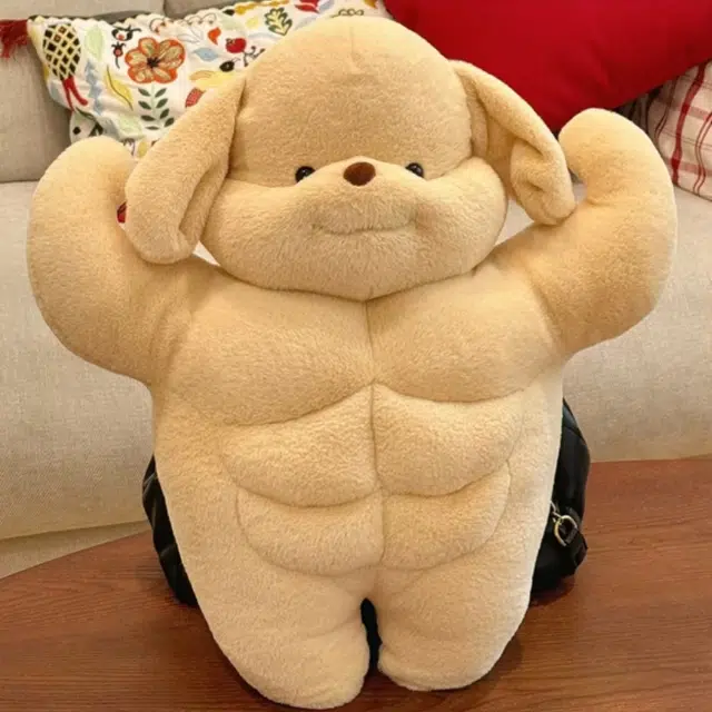 50cm