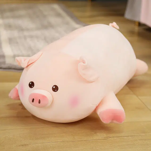 50cm60cm80cm100cm