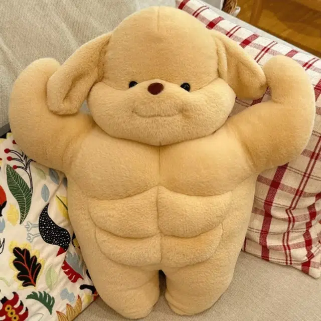 50cm