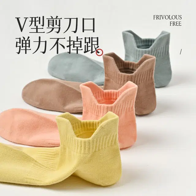 V 5