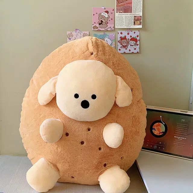 25cm50cm