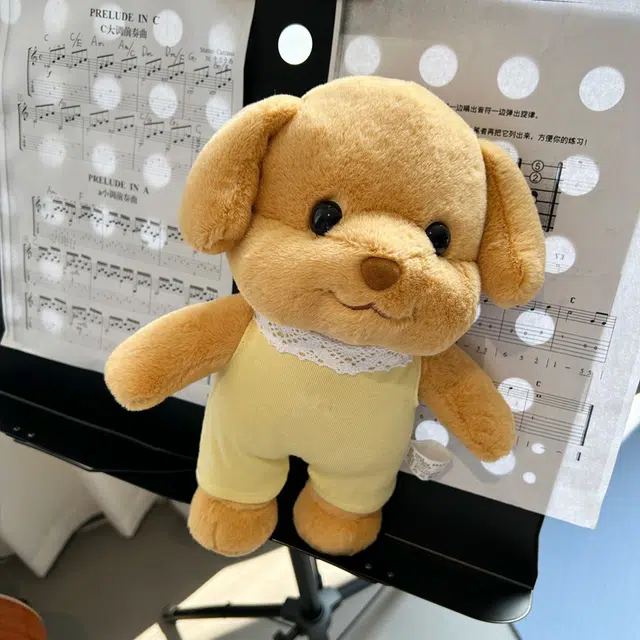30cm