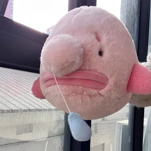 皮皮豆 流鼻涕的小鲸鱼 玩偶 毛绒公仔