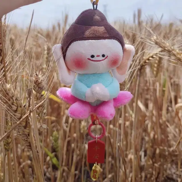 13cm