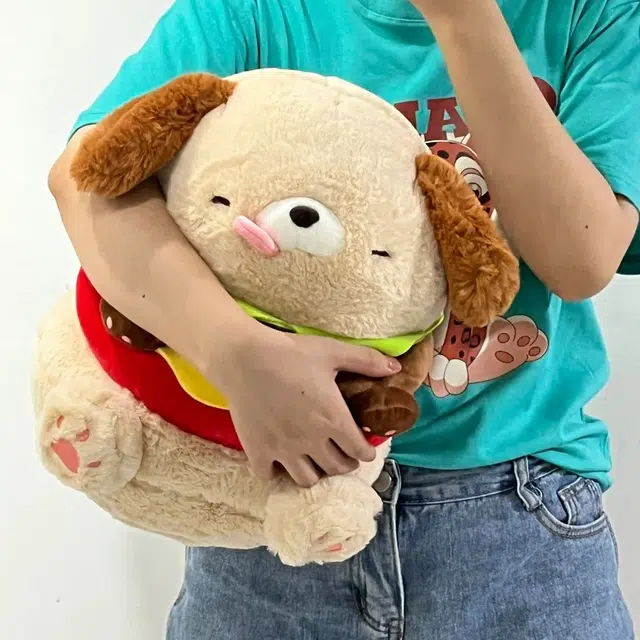 25cm