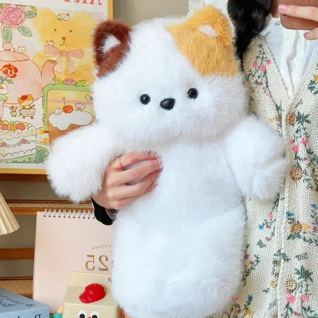 50cm