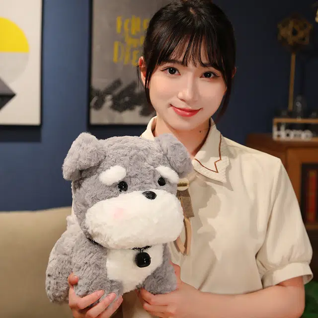 22cm28cm