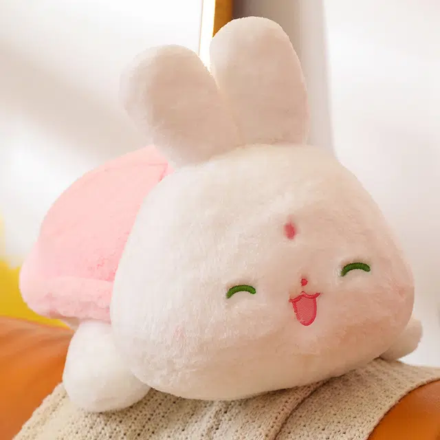 13cm50cm