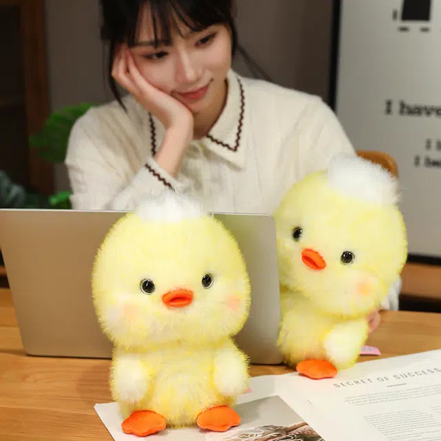 25cm35cm45cm