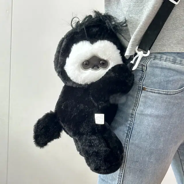 25cm