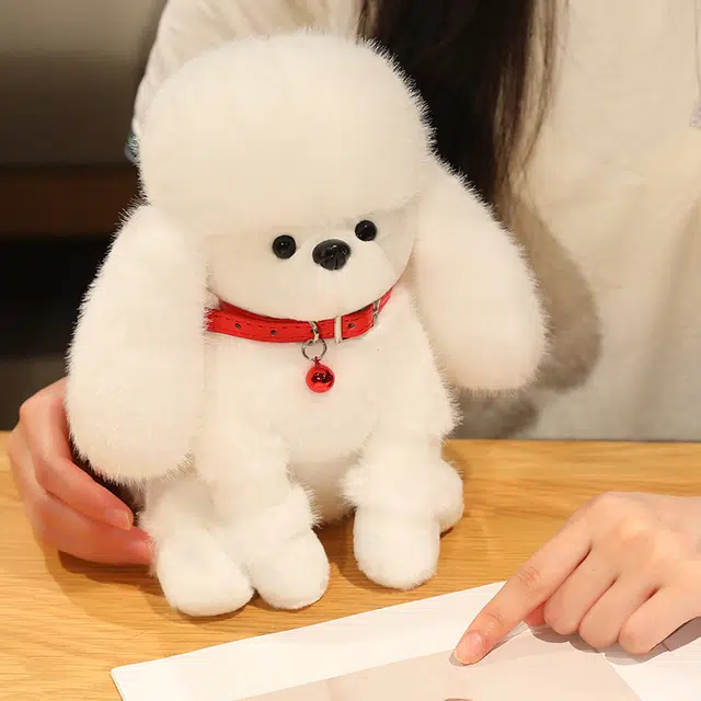23cm30cm