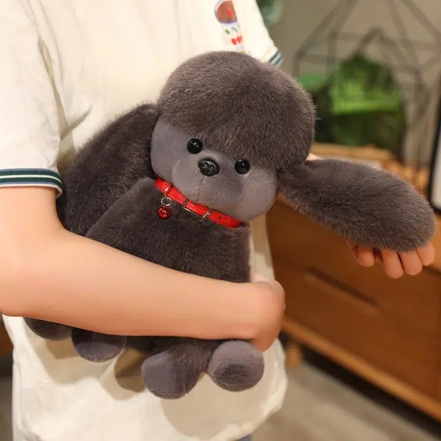 23cm30cm