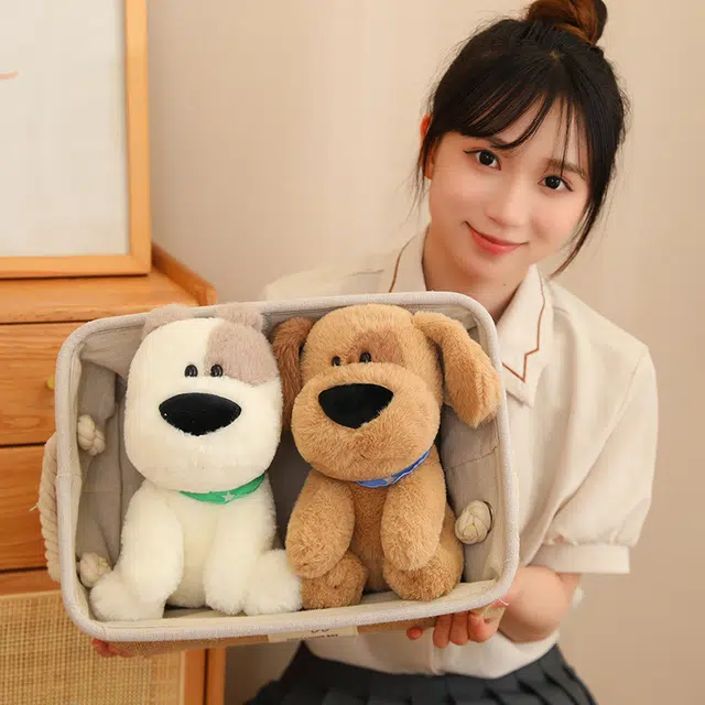 25cm
