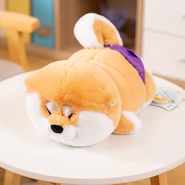40cm60cm