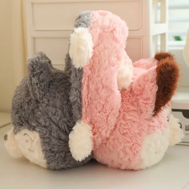 30cm40cm