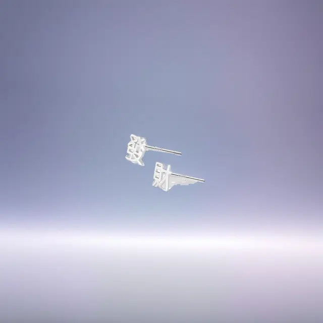 S925