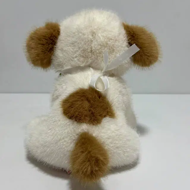 25cm