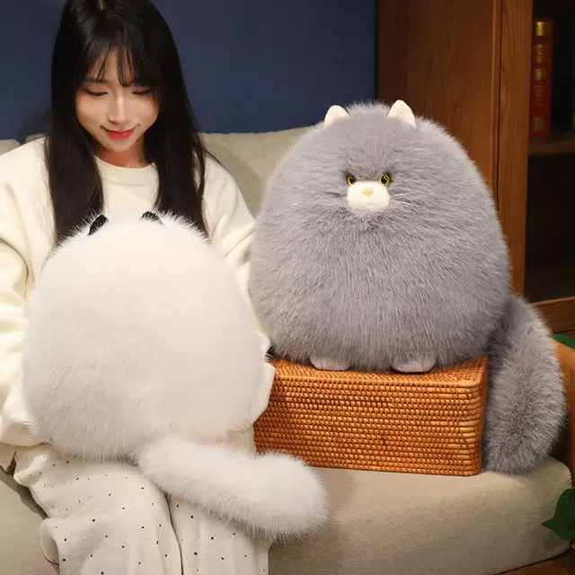30cm40cm