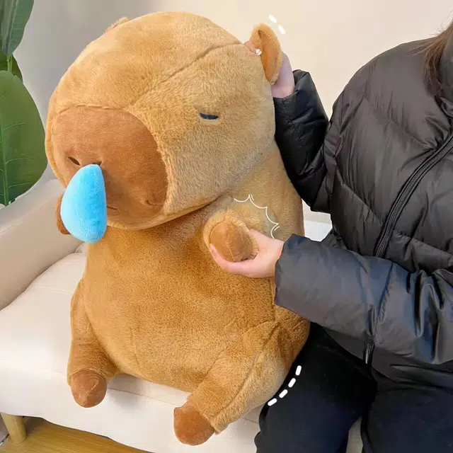 23cm33cm45cm65cm80cm100cm