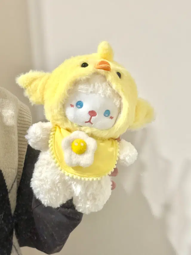 24cm
