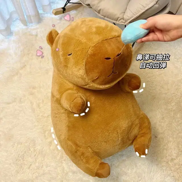 23cm33cm45cm65cm80cm100cm