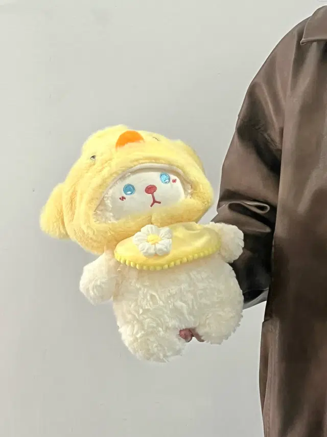 24cm