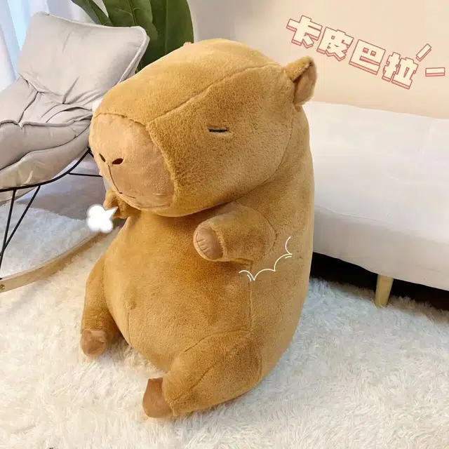 23cm33cm45cm65cm80cm100cm