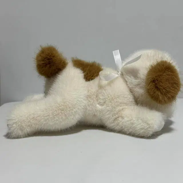 25cm