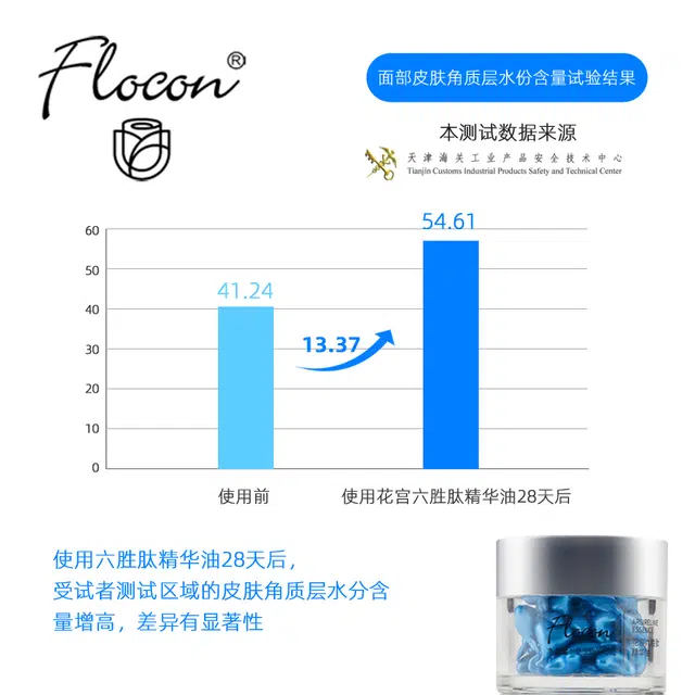 Flocon10