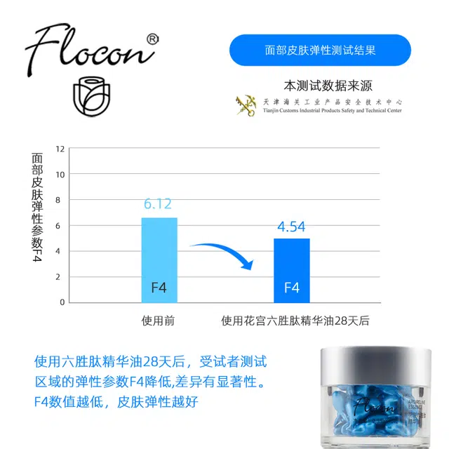 Flocon10